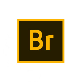 Licencia Adobe Bridge por 1...